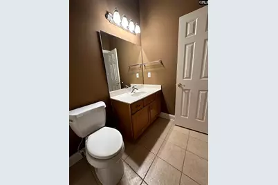 216 Pointe Overlook Drive, Chapin, SC 29036 - Photo 15