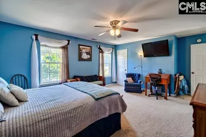 209 Eagle Pointe Drive, Chapin, SC 29036 - Photo 31