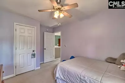 209 Eagle Pointe Drive, Chapin, SC 29036 - Photo 27