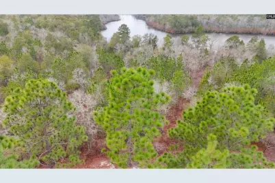 0 Browns Pond Road, Wagener, SC 29164 - Photo 3