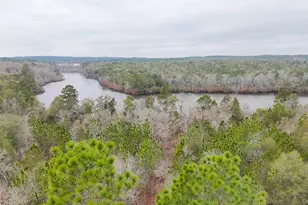 0 Browns Pond Rd, Wagener, SC 29164 - Photo 1