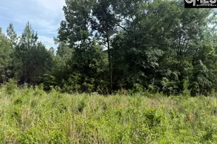 0 Old Jolleystreet Rd, Prosperity, SC 29127 - Photo 1