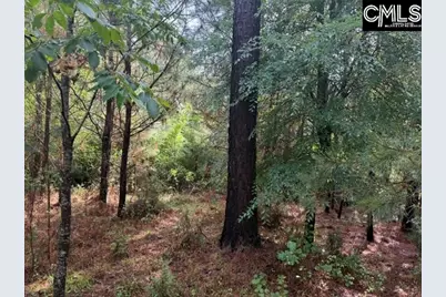 0 Old Jolleystreet Road, Prosperity, SC 29127 - Photo 3