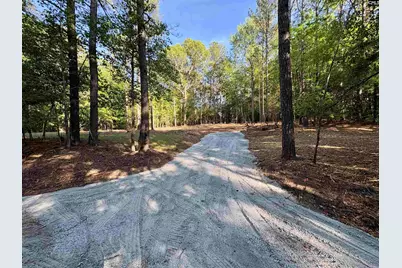 310 Douglas Road, Pomaria, SC 29126 - Photo 1