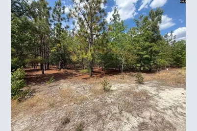 350 Payne Pond Road Lot # 11, Westville, SC 29175 - Photo 3