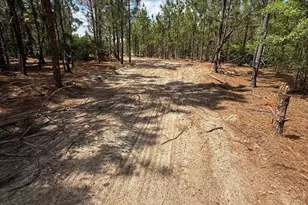 350 Payne Pond Rd Lot 11, Westville, SC 29175 - Photo 1