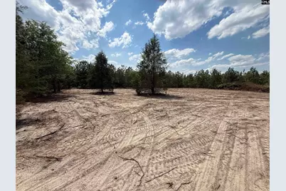 350 Payne Pond Road Lot # 11, Westville, SC 29175 - Photo 5