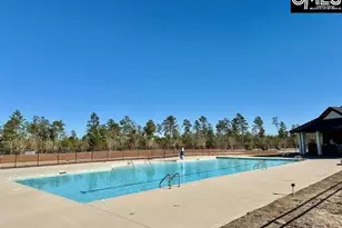231 Sunny Hl Dr, Blythewood, SC 29016 - Photo 29