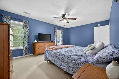 371 Eagle Pointe Drive, Chapin, SC 29036 - Photo 21