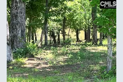 133 Lands End Lane #Lot 205, Prosperity, SC 29127 - Photo 11