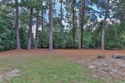 1740 Sunnyside Drive, Cayce, SC 29033 - Photo 33