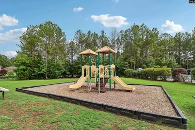 551 Eagles Rest Drive, Chapin, SC 29036 - Photo 57