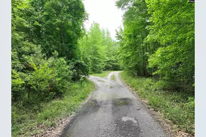 1141 Crosshill Road, Hopkins, SC 29061 - Photo 39