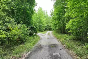 1141 Crosshill Rd, Hopkins, SC 29061 - Photo 39