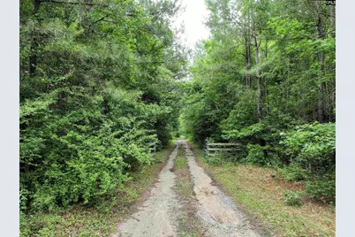1141 Crosshill Road, Hopkins, SC 29061 - Photo 3