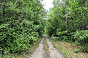 1141 Crosshill Rd, Hopkins, SC 29061 - Photo 3