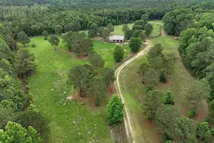 1141 Crosshill Rd, Hopkins, SC 29061 - Photo 7