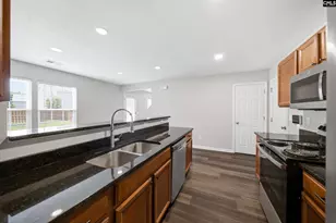 233 Sunday Silence Ln, Elgin, SC 29045 - Photo 3