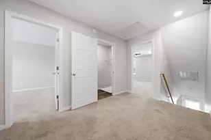 233 Sunday Silence Ln, Elgin, SC 29045 - Photo 15