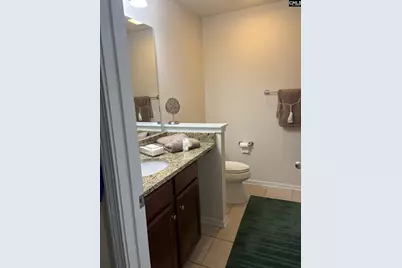 14 Pine Spur Court, Blythewood, SC 29016 - Photo 23