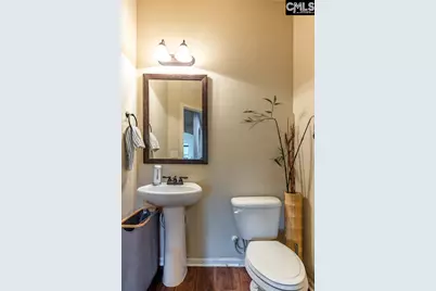 428 Dickson Hill Circle, West Columbia, SC 29170 - Photo 13