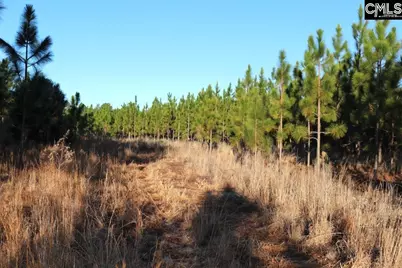 Holstein Road, Wagener, SC 29164 - Photo 7