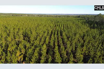 Holstein Road, Wagener, SC 29164 - Photo 11