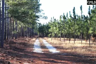 Holstein Rd, Wagener, SC 29164 - Photo 1