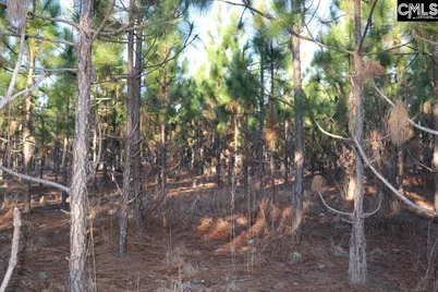 Holstein Road, Wagener, SC 29164 - Photo 25