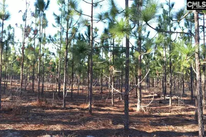 Holstein Road, Wagener, SC 29164 - Photo 15