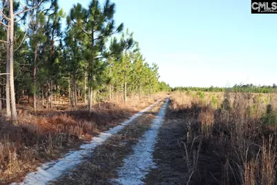 Holstein Road, Wagener, SC 29164 - Photo 9