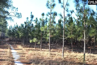 Holstein Road, Wagener, SC 29164 - Photo 3