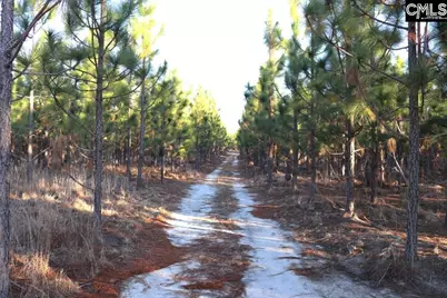 Holstein Road, Wagener, SC 29164 - Photo 13