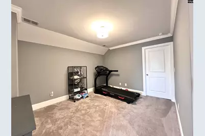 208 Mary Locke Court, Elgin, SC 29045 - Photo 53