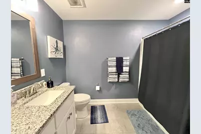 208 Mary Locke Court, Elgin, SC 29045 - Photo 47