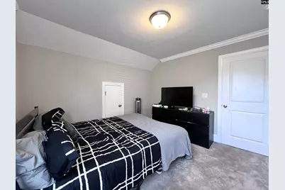 208 Mary Locke Court, Elgin, SC 29045 - Photo 51