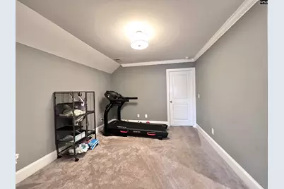 208 Mary Locke Court, Elgin, SC 29045 - Photo 53