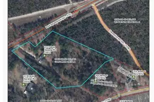 2137 Bull Swamp Rd, North, SC 29112 - Photo 3