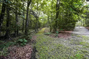 412 Murray Lindler Rd, Chapin, SC 29036 - Photo 41