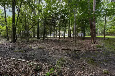 412 Murray Lindler Road, Chapin, SC 29036 - Photo 53