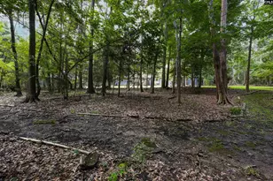 412 Murray Lindler Rd, Chapin, SC 29036 - Photo 53