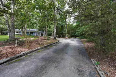 412 Murray Lindler Road, Chapin, SC 29036 - Photo 57