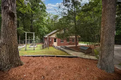 412 Murray Lindler Road, Chapin, SC 29036 - Photo 47