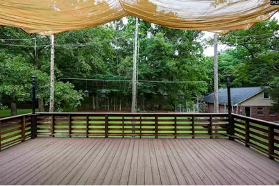 412 Murray Lindler Road, Chapin, SC 29036 - Photo 9
