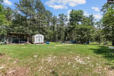881 Bushberry Road, Pelion, SC 29123 - Photo 27