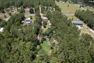 881 Bushberry Rd, Pelion, SC 29123 - Photo 35