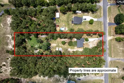 881 Bushberry Road, Pelion, SC 29123 - Photo 31