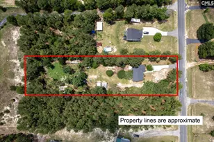 881 Bushberry Rd, Pelion, SC 29123 - Photo 31