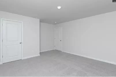 412 Leathertree Lane, Blythewood, SC 29016 - Photo 39