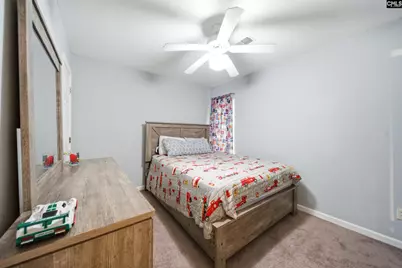 229 Starling Goodson Road, Hopkins, SC 29061 - Photo 21